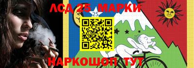 прущие грибы Можга