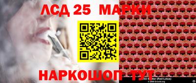 прущие грибы Можга